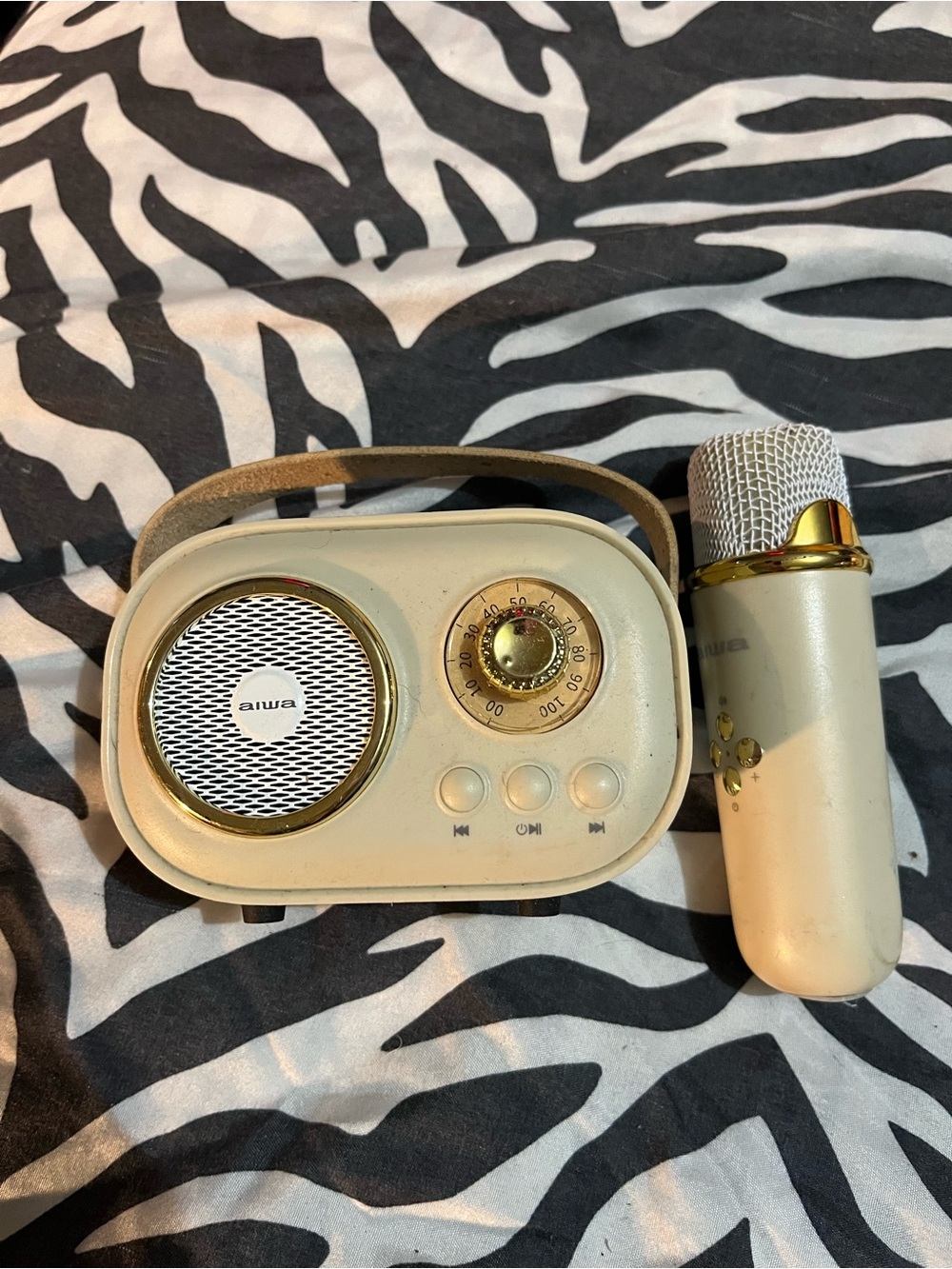 Portable Karaoke Speaker with Wireless Microphone - Cream